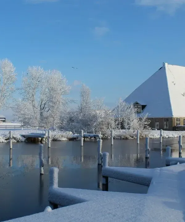 Een drukke kerst, discoballen en grootse plannen img