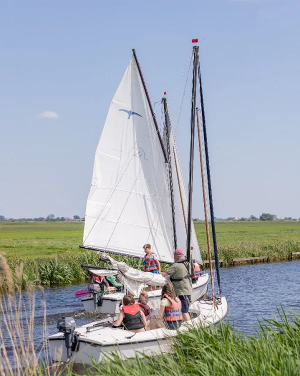 All-in zeilkamp img