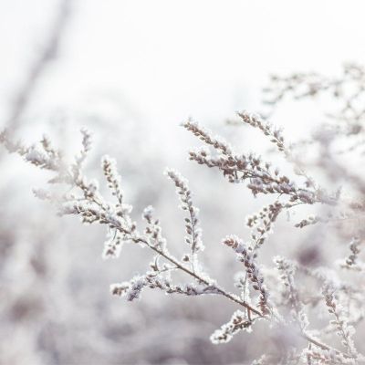 Fries-Fruitig-Winteruitjes_07.jpg